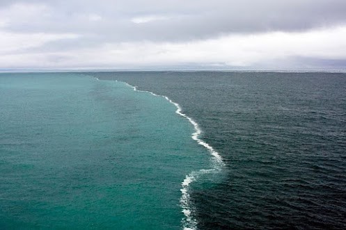 Photo:  Where two oceans meet but do not mix